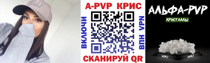 дарнет шоп  Северск  А ПВП СК КРИС 