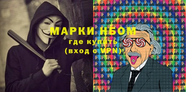 индика Михайлов