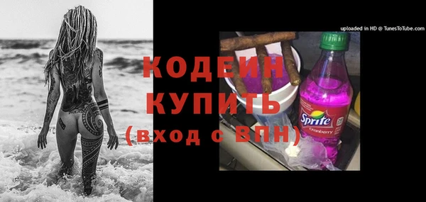 индика Михайлов