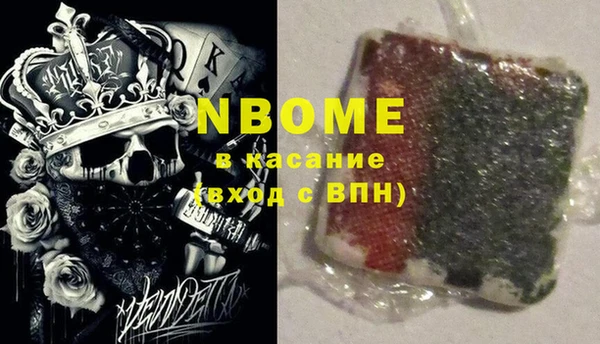 индика Михайлов