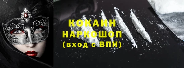 индика Михайлов