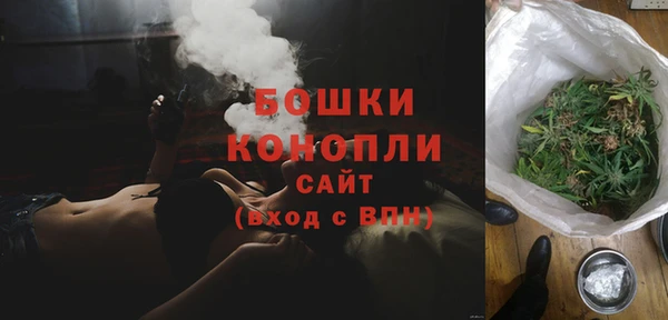 индика Михайлов