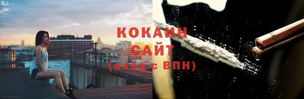 индика Михайлов