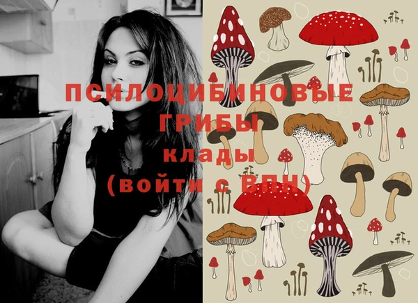 герыч Майский