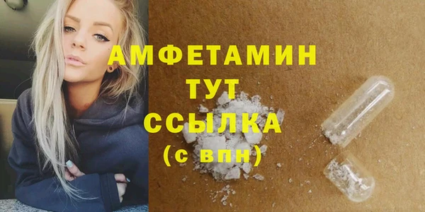 индика Михайлов