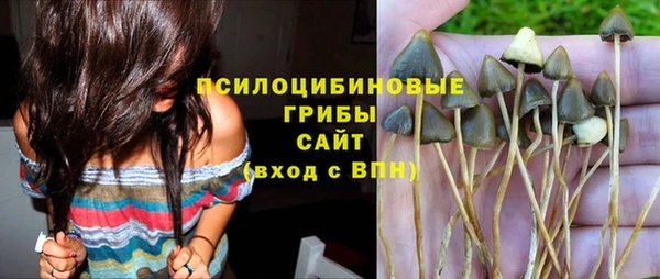 герыч Майский