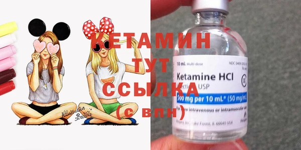 индика Михайлов