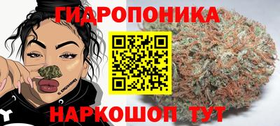 ПСИЛОЦИБИНОВЫЕ ГРИБЫ Кимры