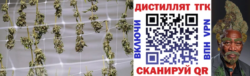 ТГК гашишное масло  KRAKEN ссылки  Северск 