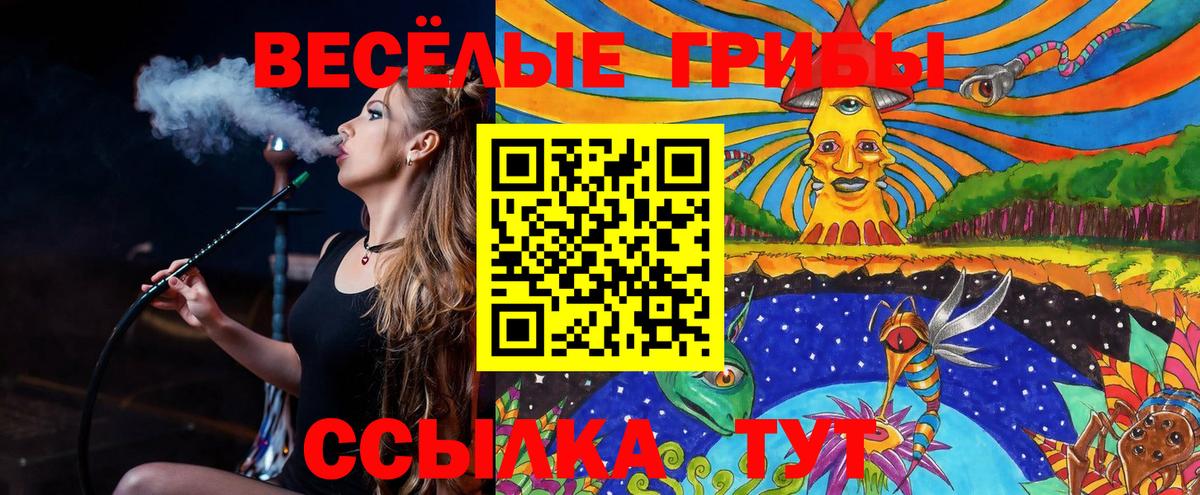 Галлюциногенные грибы мицелий Северск